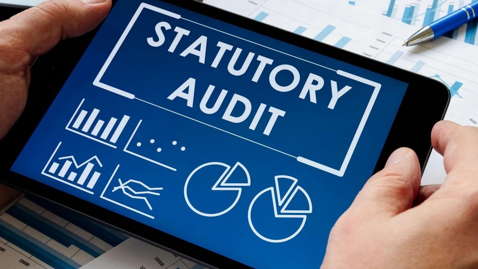 Impacts of Statutory Compliance on Business Growth