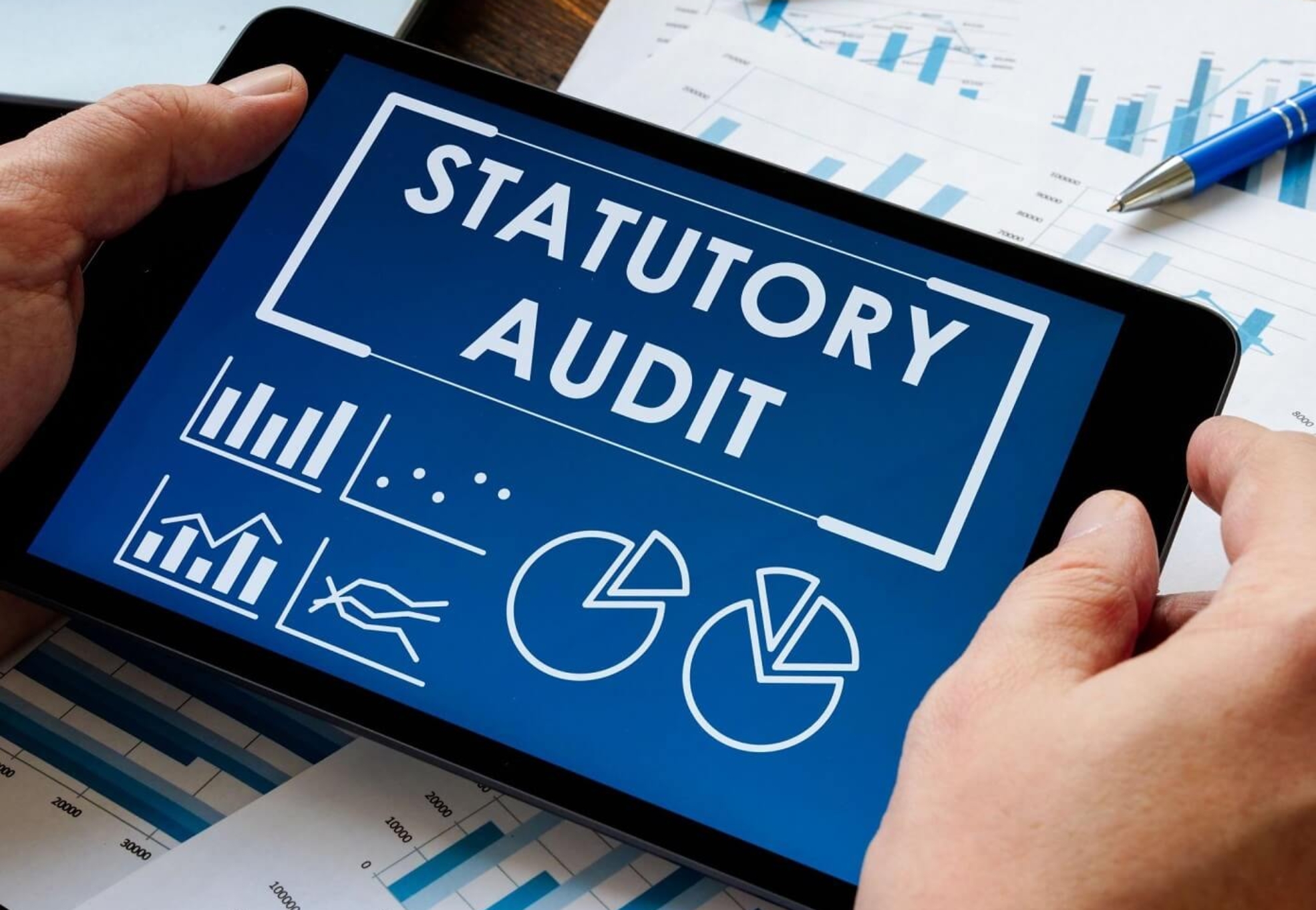 Impacts of Statutory Compliance on Business Growth